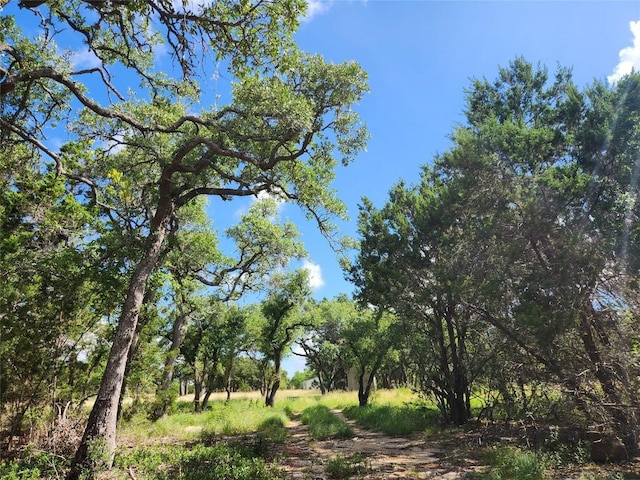 11360 Fm 32nd Hwy, Fischer, TX 78623 - photo 7