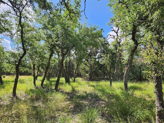 11360 Fm 32nd Hwy, Fischer, TX 78623 - photo 9