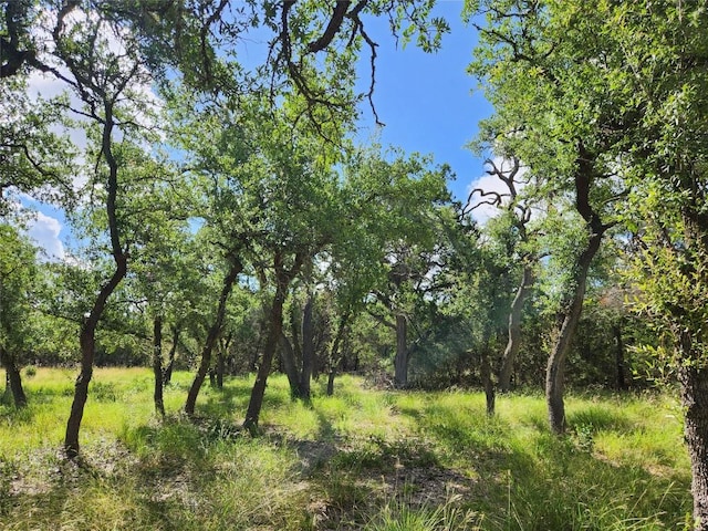 11360 Fm 32nd Hwy, Fischer, TX 78623 - photo 10
