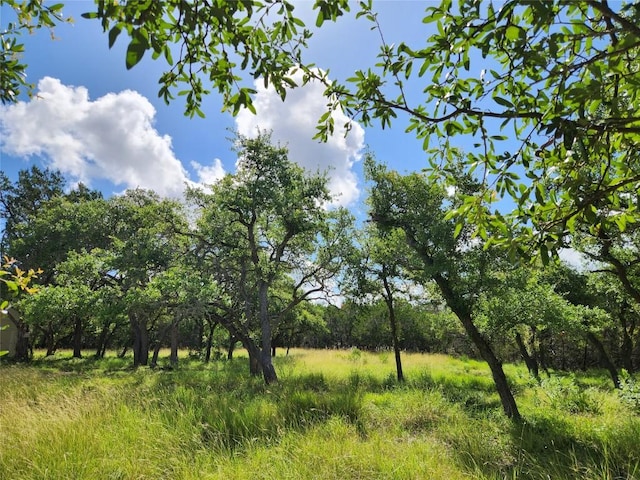 11360 Fm 32nd Hwy, Fischer, TX 78623 - photo 11