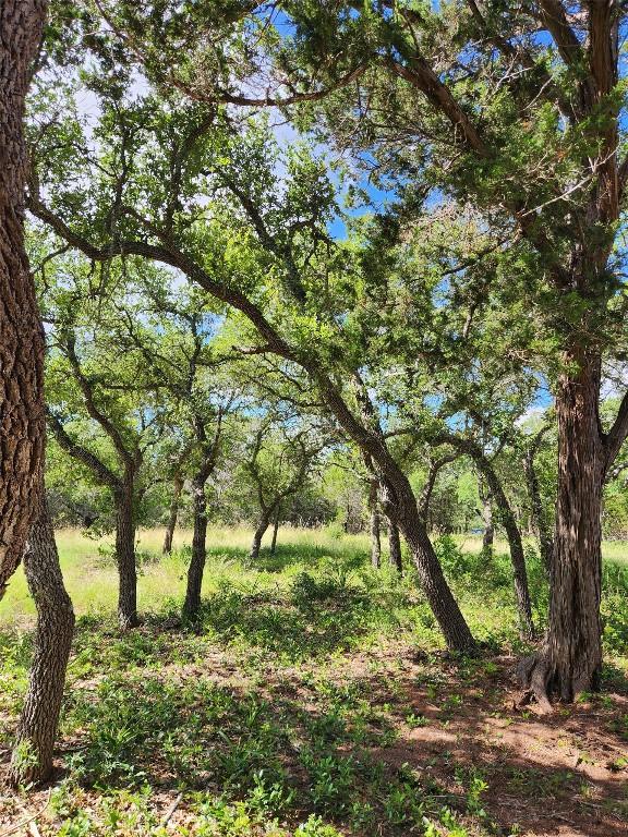11360 Fm 32nd Hwy, Fischer, TX 78623 - photo 12