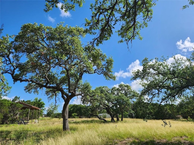 11360 Fm 32nd Hwy, Fischer, TX 78623 - photo 14