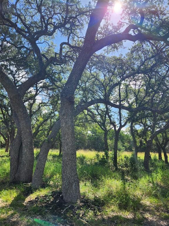 11360 Fm 32nd Hwy, Fischer, TX 78623 - photo 16