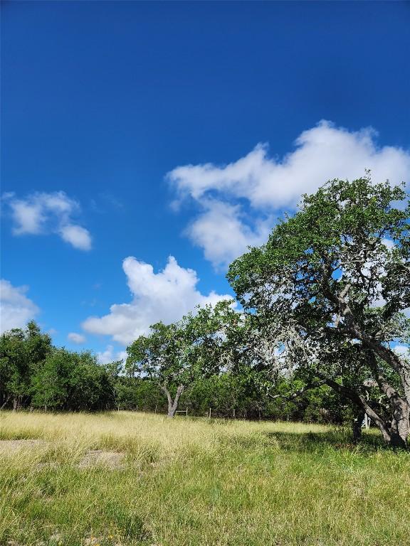 11360 Fm 32nd Hwy, Fischer, TX 78623 - photo 17