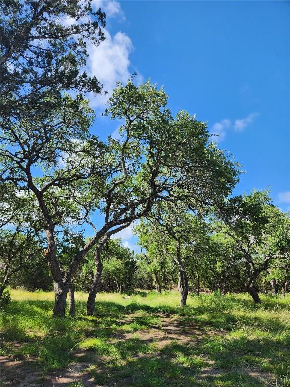 11360 Fm 32nd Hwy, Fischer, TX 78623 - photo 18