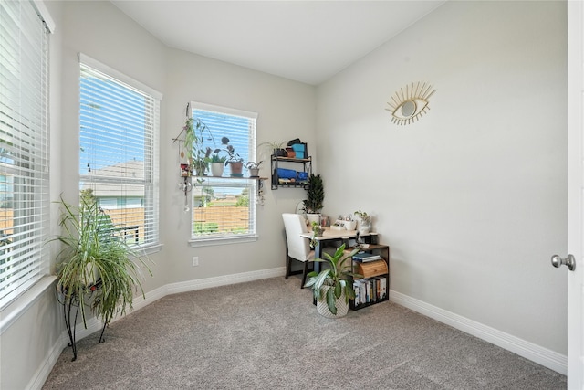104 Falabella Trl, Georgetown, TX 78626 - photo 16