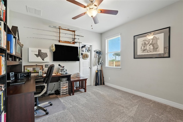 104 Falabella Trl, Georgetown, TX 78626 - photo 24