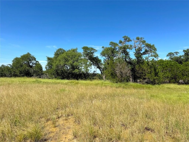 311 Toucan Dr, Spring Branch, TX 78070 - photo 10