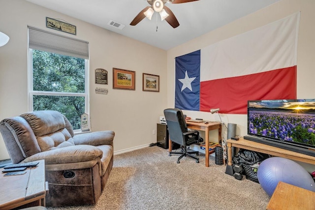 2413 Whitewater Dr, Bertram, TX 78605 - photo 23