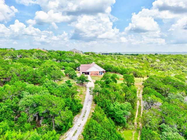 2413 Whitewater Dr, Bertram, TX 78605 - photo 31