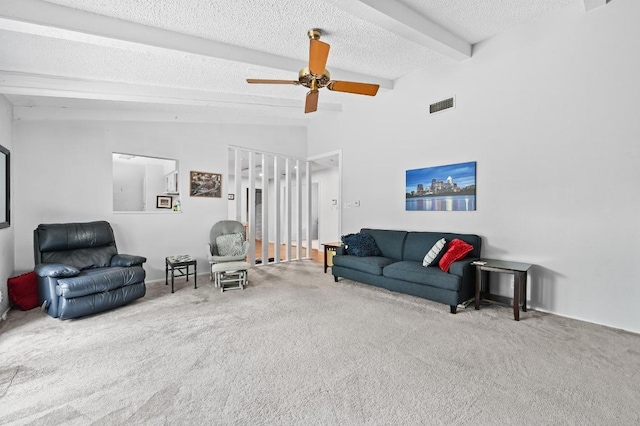 4514 Cliffstone Cv, Austin, TX 78735 - photo 10