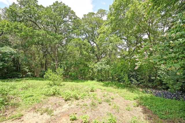 4514 Cliffstone Cv, Austin, TX 78735 - photo 24