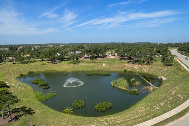454 Climbing Rock Loop, Dripping Springs, TX 78620 - photo 33