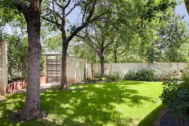2701 W 35th St Unit A, Austin, TX 78703 - photo 38