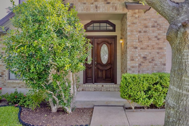 3004 Pepper Grass Trl, Cedar Park, TX 78613 - photo 3