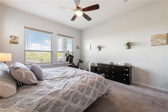 7117 Jument Dr, Austin, TX 78738 - photo 21