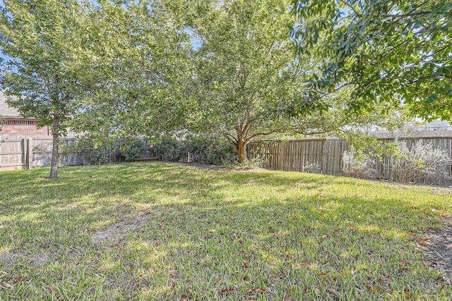 11633 Sun Glass Dr, Manor, TX 78653 - photo 11