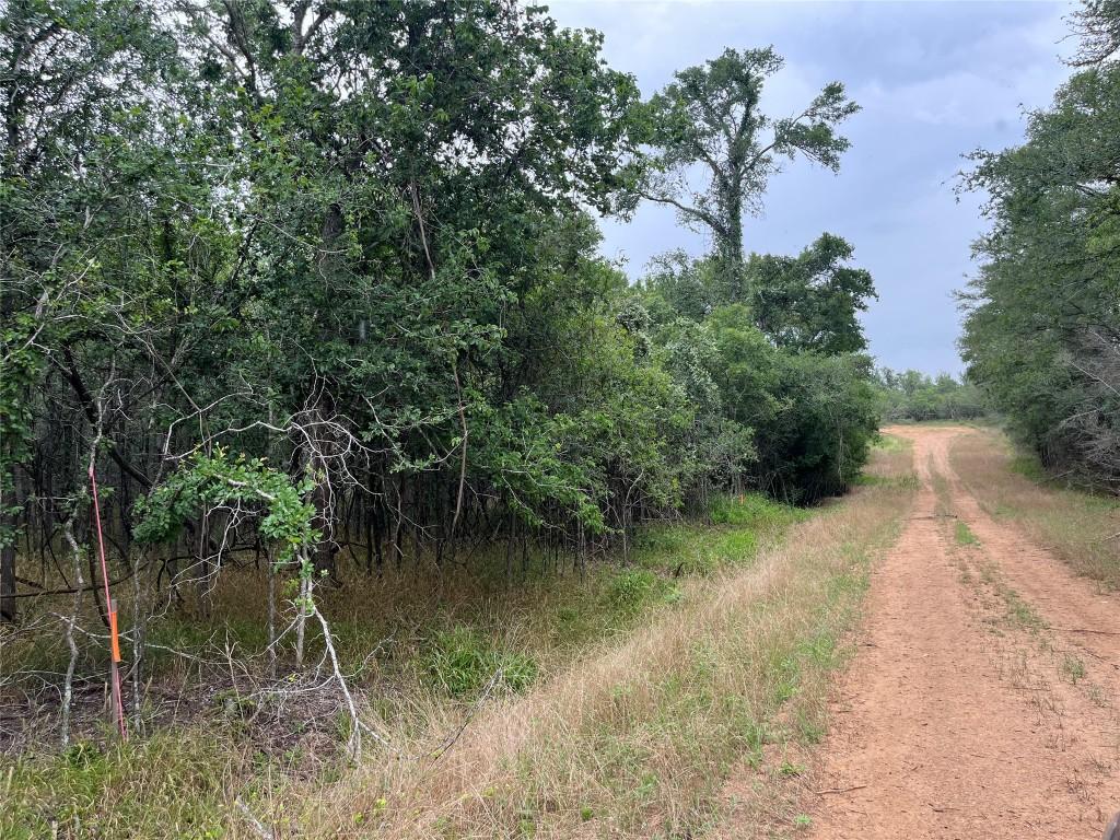 000 Kaaawa Ln Unit 5, Bastrop, TX 78602 - photo 2