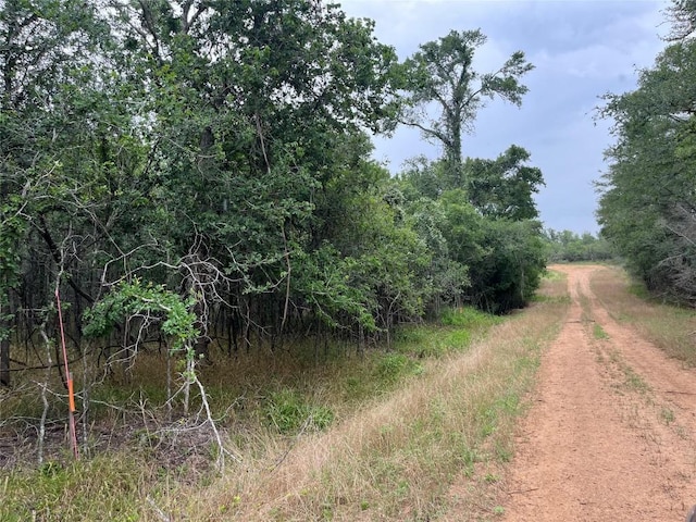 000 Kaaawa Ln Unit 5, Bastrop, TX 78602 - photo 2