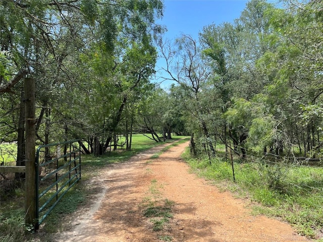 354 Lower Red Rock Rd, Bastrop, TX 78602 - photo 1