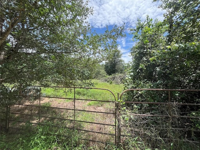 354 Lower Red Rock Rd, Bastrop, TX 78602 - photo 5