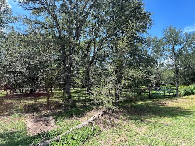 354 Lower Red Rock Rd, Bastrop, TX 78602 - photo 8