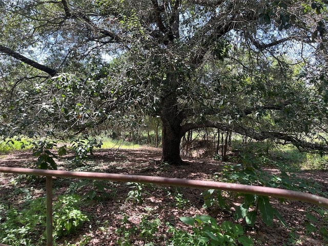 354 Lower Red Rock Rd, Bastrop, TX 78602 - photo 21