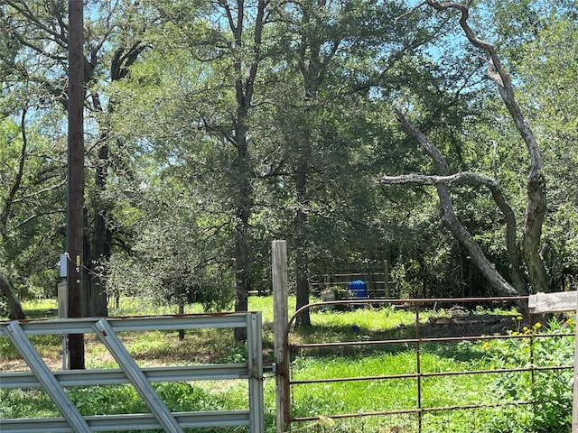 354 Lower Red Rock Rd, Bastrop, TX 78602 - photo 25
