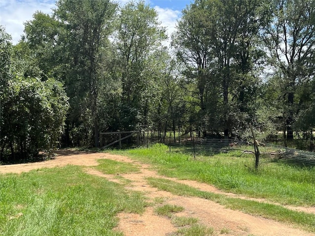 354 Lower Red Rock Rd, Bastrop, TX 78602 - photo 27