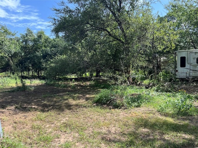 354 Lower Red Rock Rd, Bastrop, TX 78602 - photo 32