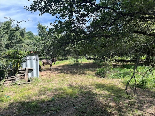 354 Lower Red Rock Rd, Bastrop, TX 78602 - photo 28