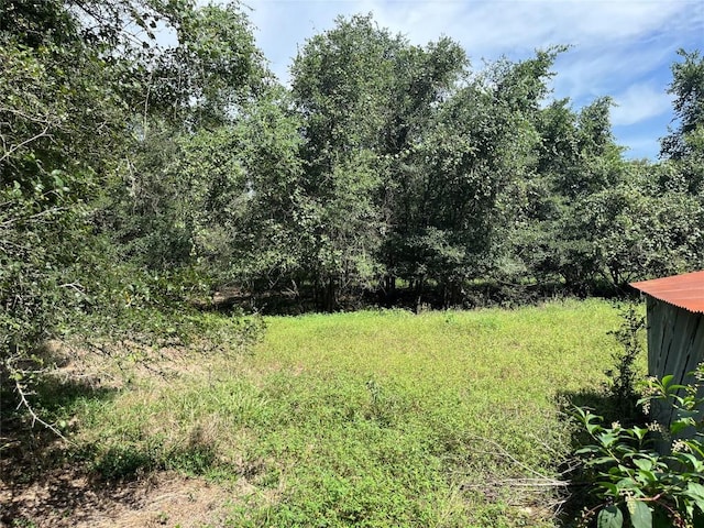 354 Lower Red Rock Rd, Bastrop, TX 78602 - photo 30