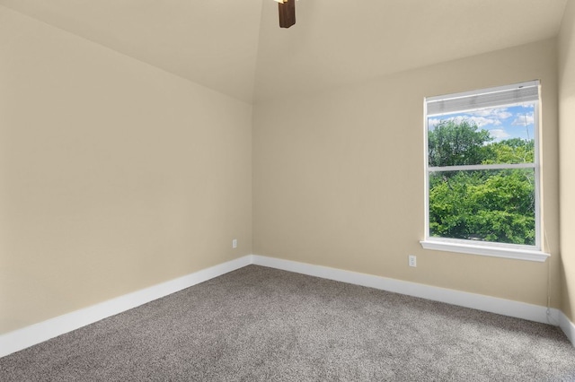 10128 Channel Island Dr, Austin, TX 78747 - photo 23