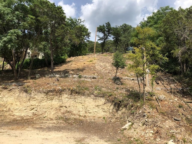 13521 Bullick Hollow Rd, Austin, TX 78726 - photo 4