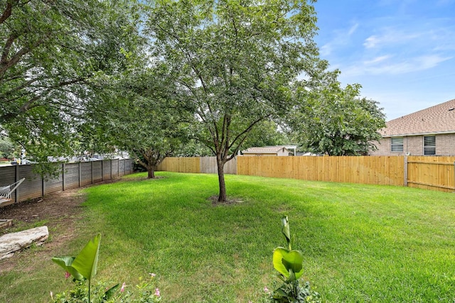 7002 Rambollet Ter, Round Rock, TX 78681 - photo 39