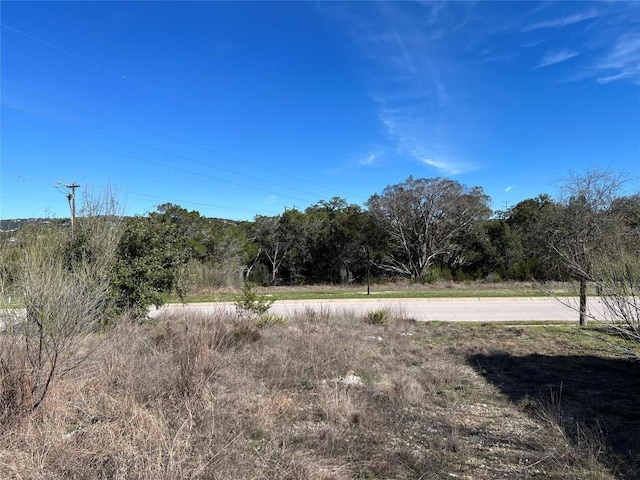7324 Tessera Pkwy, Lago Vista, TX 78645 - photo 3