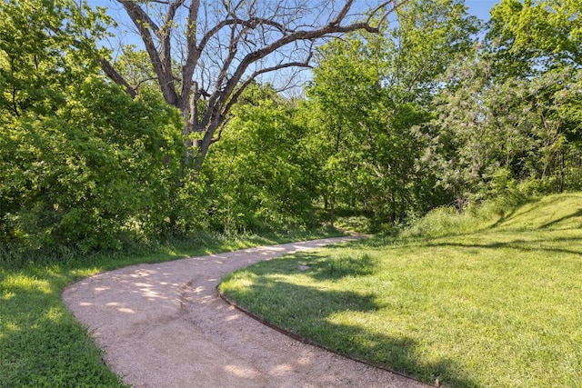 2516 Alleyton Cv, Austin, TX 78725 - photo 35