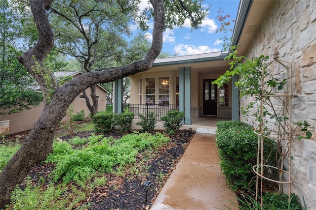 125 Nighthawk Way, Georgetown, TX 78633 - photo 24