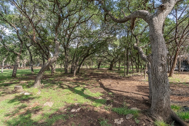 444 Logan Ranch Rd, Georgetown, TX 78628 - photo 28