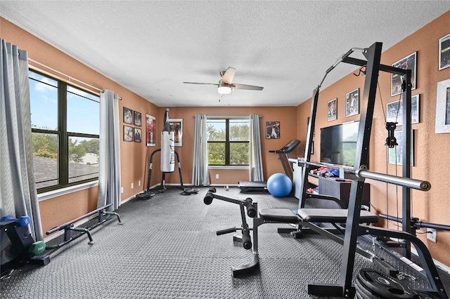219 Valero Dr, San Marcos, TX 78666 - photo 11
