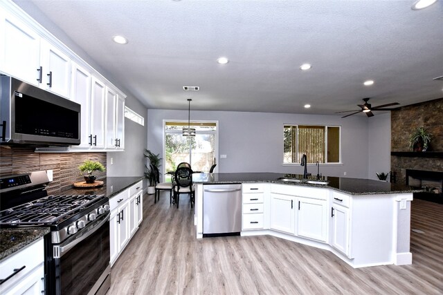219 Red Poppy Trl, Georgetown, TX 78633 - photo 13