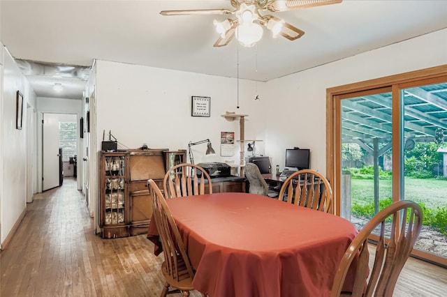 2205 Balboa Rd, Austin, TX 78733 - photo 14