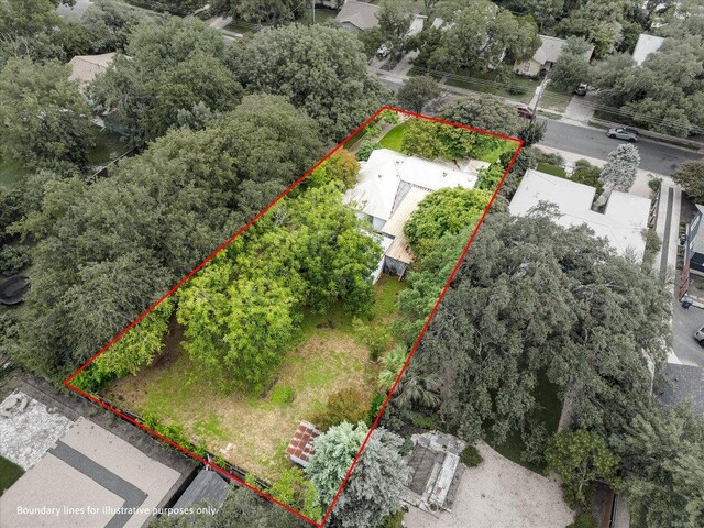 1206 Ruth Ave, Austin, TX 78757 - photo 11