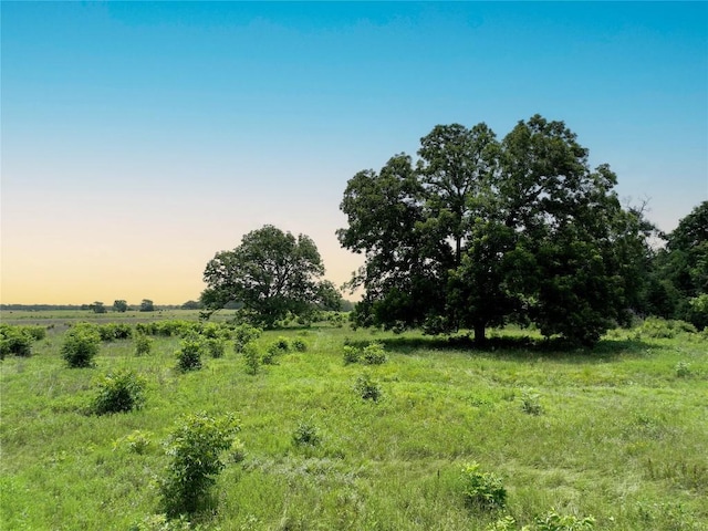 0000 Fm 2749, Thornton, TX 76687 - photo 5