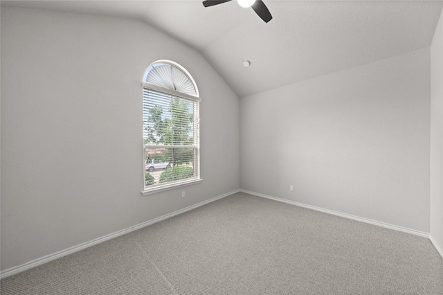 5208 SW Siltstone Loop, Killeen, TX 76542 - photo 12
