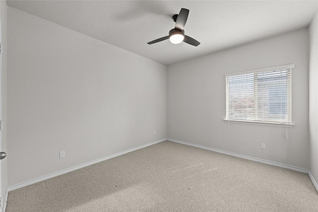 5208 SW Siltstone Loop, Killeen, TX 76542 - photo 17