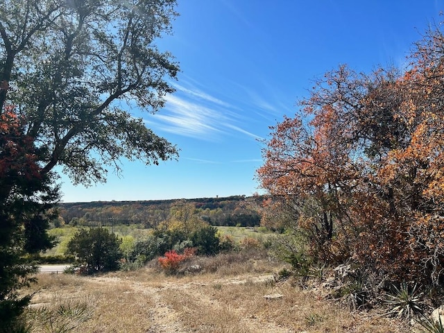 8202 Sparta Rd, Belton, TX 76513 - photo 1