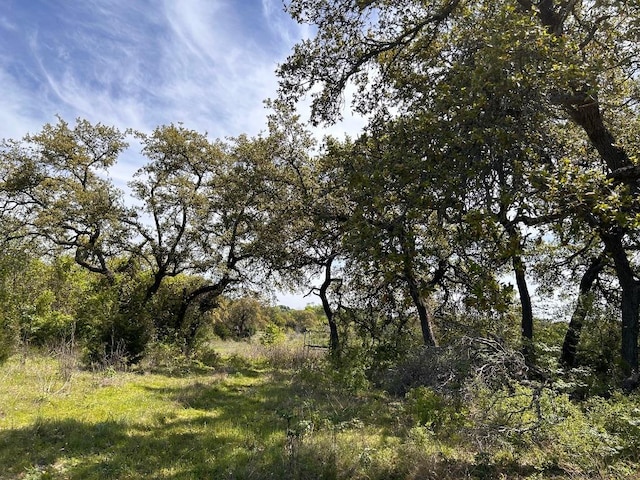 8202 Sparta Rd, Belton, TX 76513 - photo 4