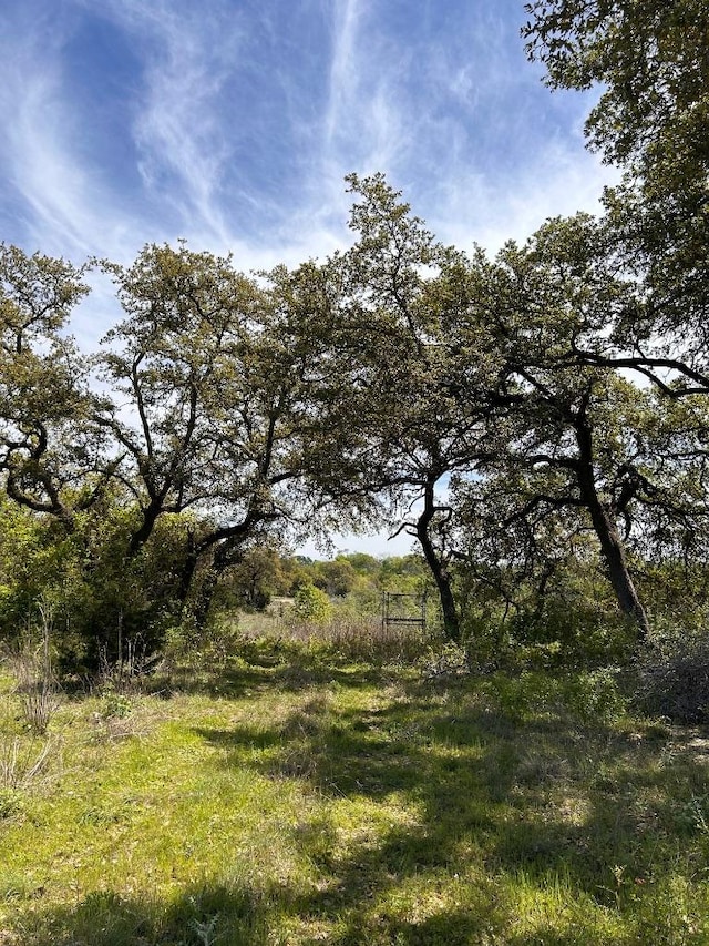 8202 Sparta Rd, Belton, TX 76513 - photo 5