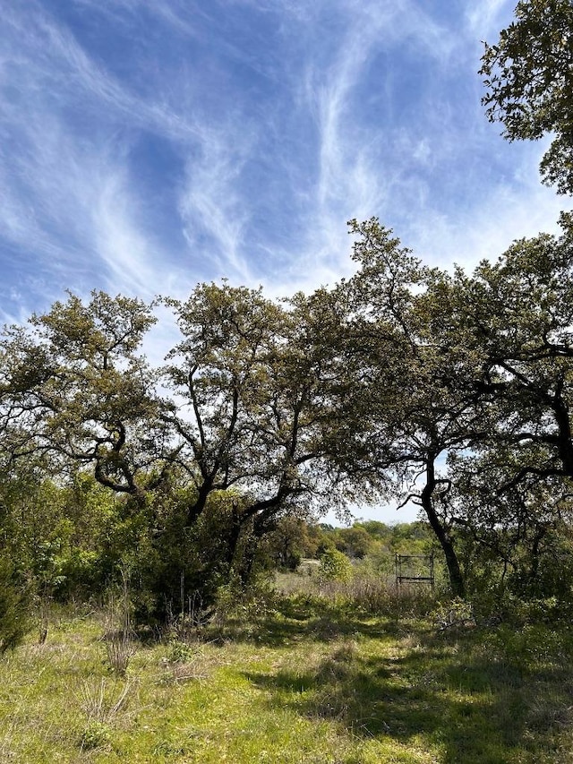 8202 Sparta Rd, Belton, TX 76513 - photo 6